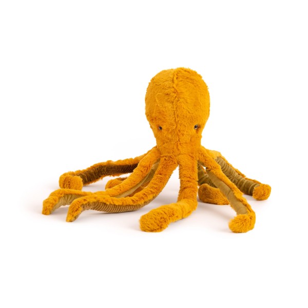 Autour du monde small octopus